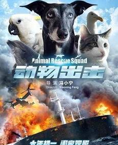 动物出击在线观看,奇趣动物大冒险在线观看攻略 第2张 动物出击在线观看,奇趣动物大冒险在线观看攻略 第2张